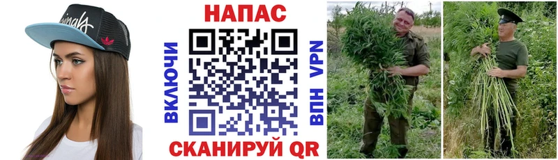 Где купить наркотики Ессентукская МАРИХУАНА  АМФЕТАМИН  МЕТАМФЕТАМИН  МЕФ  Гашиш 