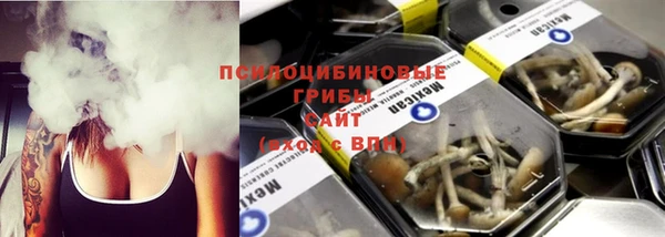 гидра Горняк