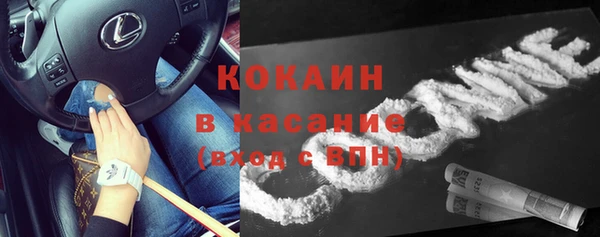 гидра Горняк