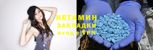 гидра Горняк