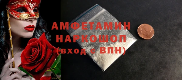гидра Горняк