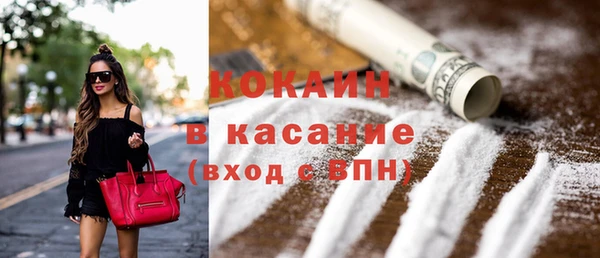 гидра Горняк