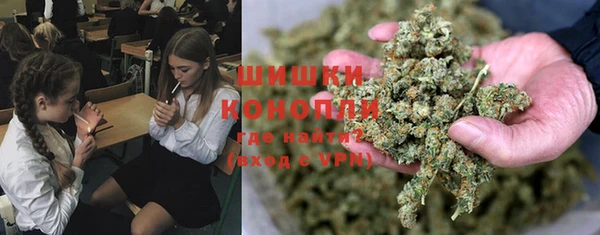 гидра Горняк