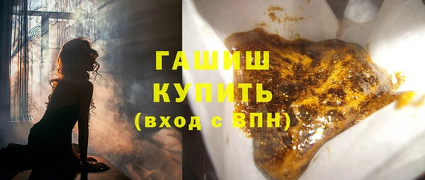 гидра Горняк