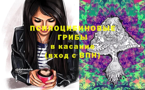дживик Горно-Алтайск